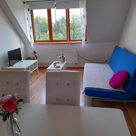 Appartement Riegrova à Ceske Budejovice Extérieur photo