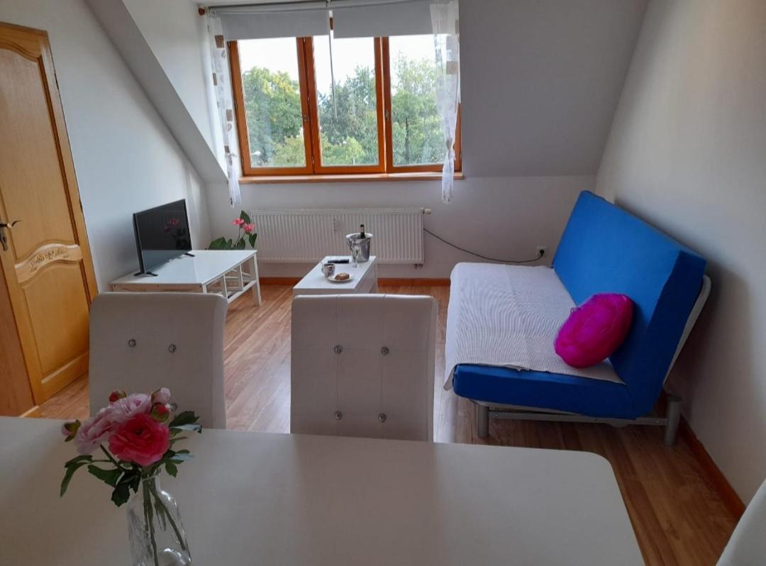Appartement Riegrova à Ceske Budejovice Extérieur photo